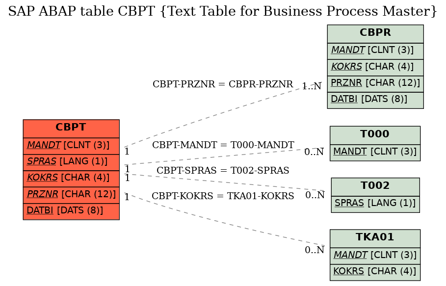 E-R Diagram for table CBPT (Text Table for Business Process Master)