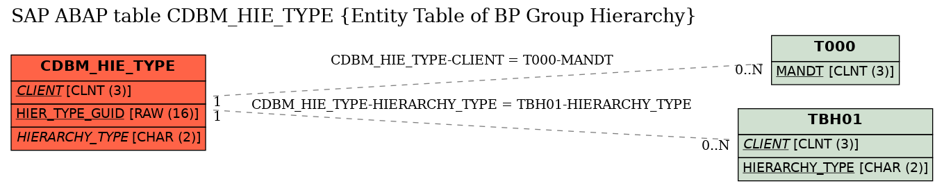 E-R Diagram for table CDBM_HIE_TYPE (Entity Table of BP Group Hierarchy)