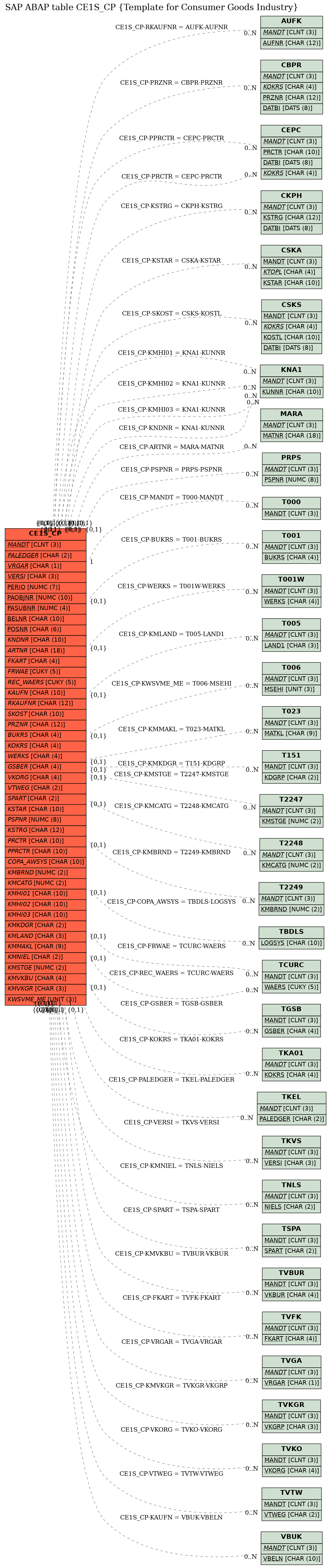 E-R Diagram for table CE1S_CP (Template for Consumer Goods Industry)