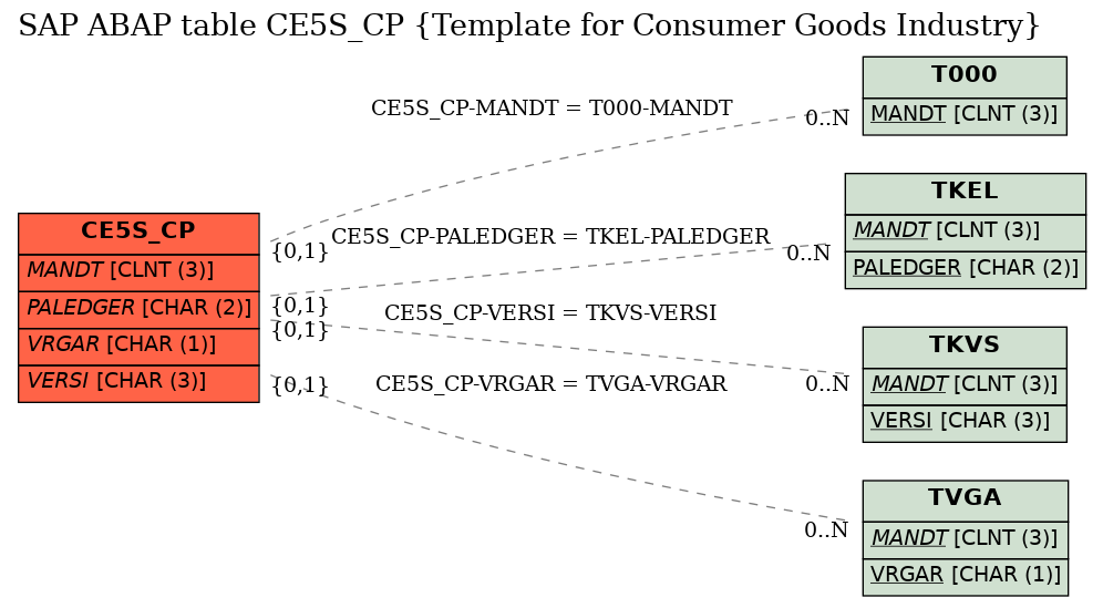 E-R Diagram for table CE5S_CP (Template for Consumer Goods Industry)