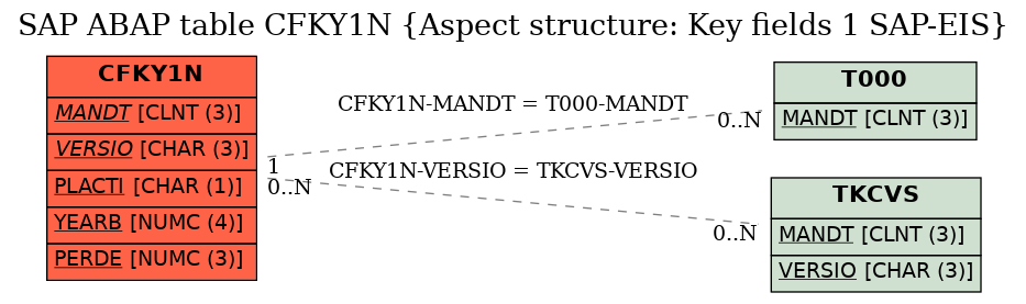 E-R Diagram for table CFKY1N (Aspect structure: Key fields 1 SAP-EIS)