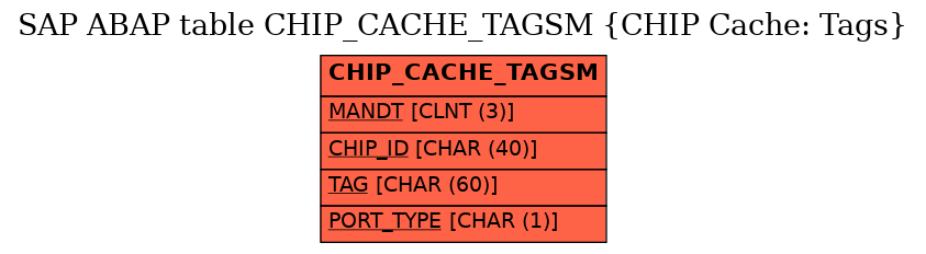 E-R Diagram for table CHIP_CACHE_TAGSM (CHIP Cache: Tags)