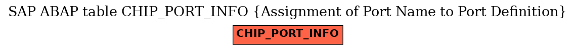 E-R Diagram for table CHIP_PORT_INFO (Assignment of Port Name to Port Definition)