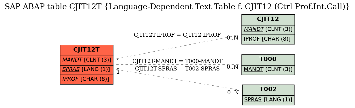 E-R Diagram for table CJIT12T (Language-Dependent Text Table f. CJIT12 (Ctrl Prof.Int.Call))