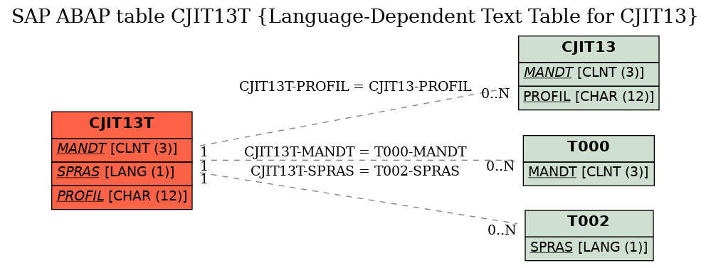 E-R Diagram for table CJIT13T (Language-Dependent Text Table for CJIT13)