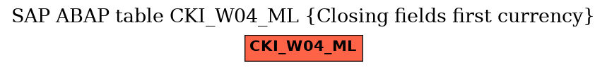 E-R Diagram for table CKI_W04_ML (Closing fields first currency)