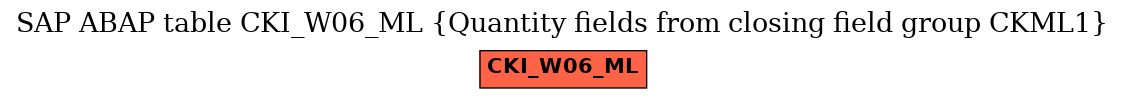 E-R Diagram for table CKI_W06_ML (Quantity fields from closing field group CKML1)