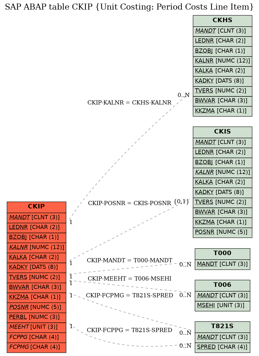 E-R Diagram for table CKIP (Unit Costing: Period Costs Line Item)