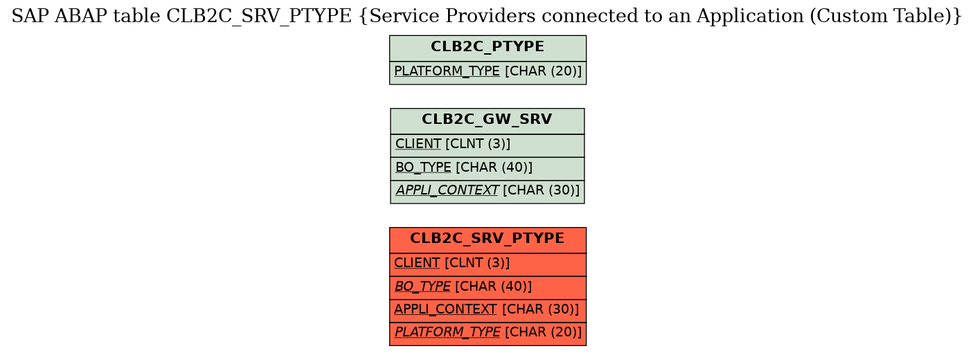 E-R Diagram for table CLB2C_SRV_PTYPE (Service Providers connected to an Application (Custom Table))