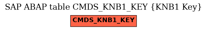 E-R Diagram for table CMDS_KNB1_KEY (KNB1 Key)