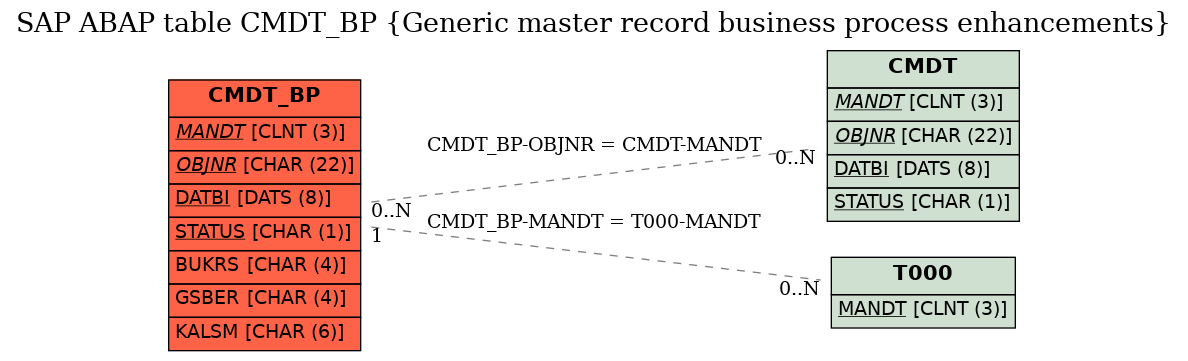 E-R Diagram for table CMDT_BP (Generic master record business process enhancements)