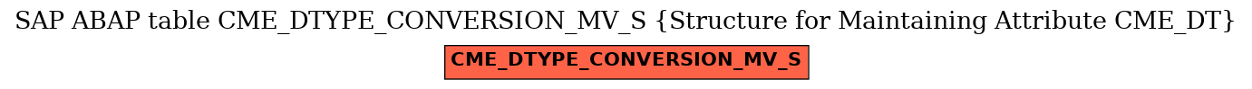 E-R Diagram for table CME_DTYPE_CONVERSION_MV_S (Structure for Maintaining Attribute CME_DT)