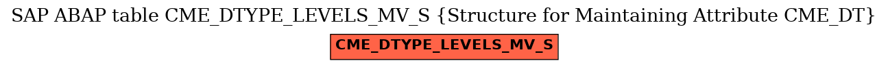 E-R Diagram for table CME_DTYPE_LEVELS_MV_S (Structure for Maintaining Attribute CME_DT)