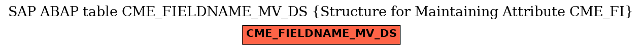 E-R Diagram for table CME_FIELDNAME_MV_DS (Structure for Maintaining Attribute CME_FI)