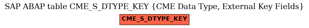 E-R Diagram for table CME_S_DTYPE_KEY (CME Data Type, External Key Fields)