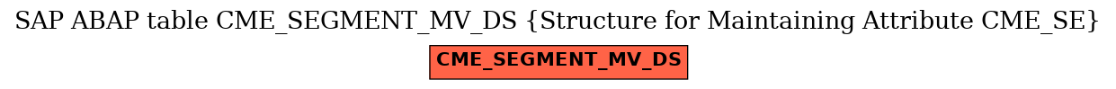 E-R Diagram for table CME_SEGMENT_MV_DS (Structure for Maintaining Attribute CME_SE)