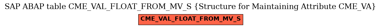 E-R Diagram for table CME_VAL_FLOAT_FROM_MV_S (Structure for Maintaining Attribute CME_VA)