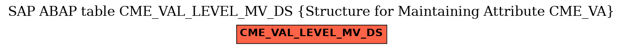 E-R Diagram for table CME_VAL_LEVEL_MV_DS (Structure for Maintaining Attribute CME_VA)