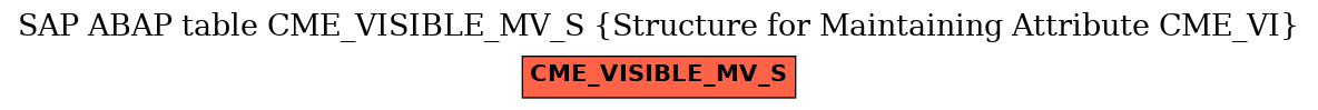 E-R Diagram for table CME_VISIBLE_MV_S (Structure for Maintaining Attribute CME_VI)