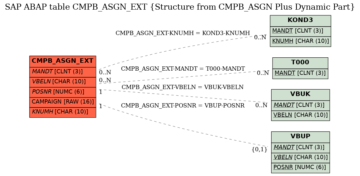 E-R Diagram for table CMPB_ASGN_EXT (Structure from CMPB_ASGN Plus Dynamic Part)