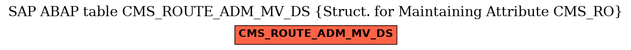 E-R Diagram for table CMS_ROUTE_ADM_MV_DS (Struct. for Maintaining Attribute CMS_RO)