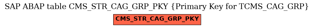 E-R Diagram for table CMS_STR_CAG_GRP_PKY (Primary Key for TCMS_CAG_GRP)