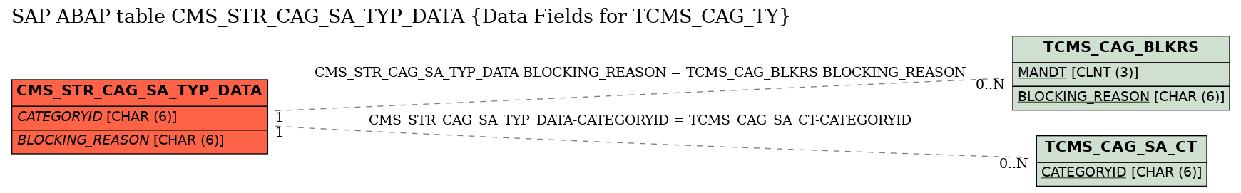 E-R Diagram for table CMS_STR_CAG_SA_TYP_DATA (Data Fields for TCMS_CAG_TY)