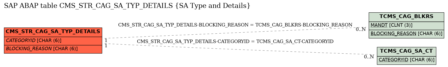 E-R Diagram for table CMS_STR_CAG_SA_TYP_DETAILS (SA Type and Details)