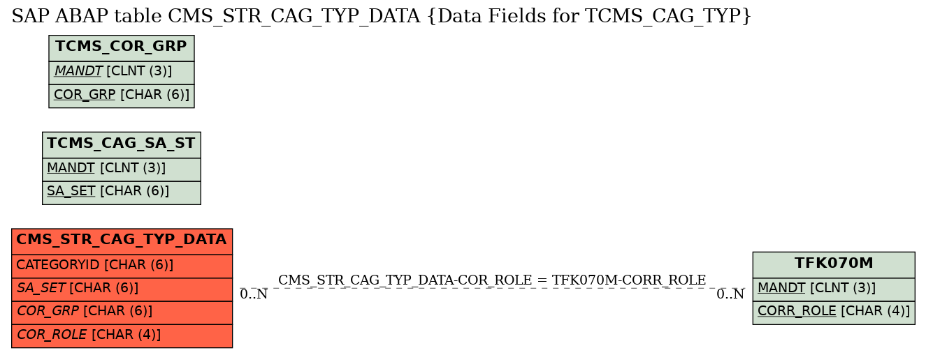 E-R Diagram for table CMS_STR_CAG_TYP_DATA (Data Fields for TCMS_CAG_TYP)