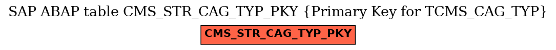 E-R Diagram for table CMS_STR_CAG_TYP_PKY (Primary Key for TCMS_CAG_TYP)