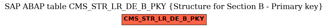 E-R Diagram for table CMS_STR_LR_DE_B_PKY (Structure for Section B - Primary key)