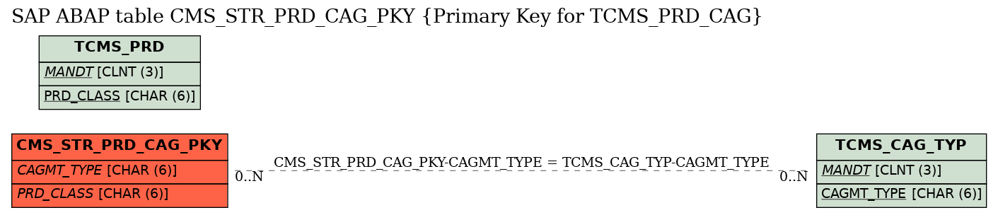 E-R Diagram for table CMS_STR_PRD_CAG_PKY (Primary Key for TCMS_PRD_CAG)