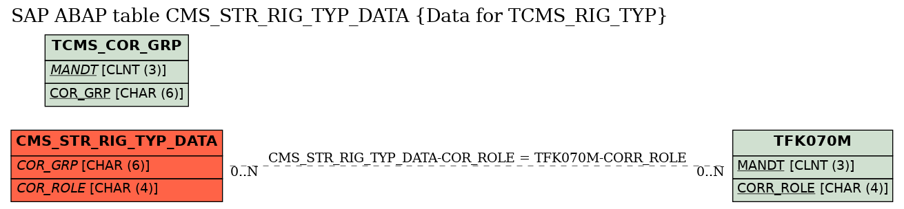 E-R Diagram for table CMS_STR_RIG_TYP_DATA (Data for TCMS_RIG_TYP)