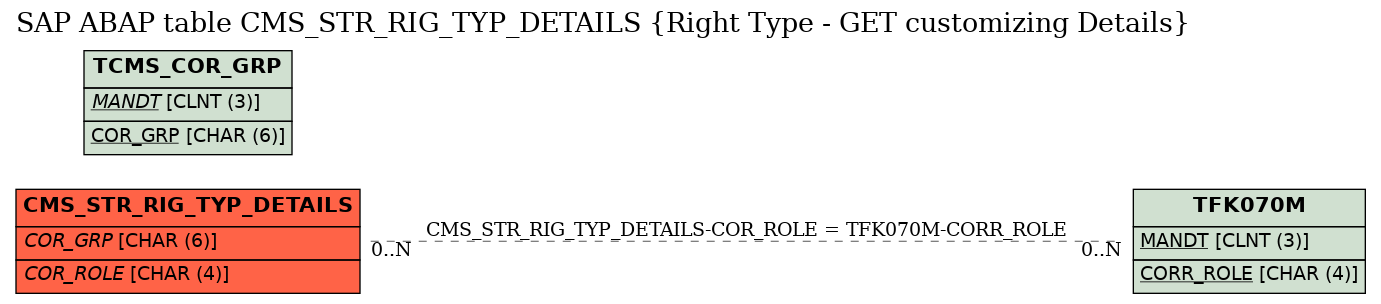 E-R Diagram for table CMS_STR_RIG_TYP_DETAILS (Right Type - GET customizing Details)