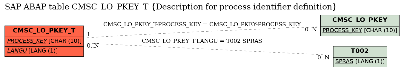 E-R Diagram for table CMSC_LO_PKEY_T (Description for process identifier definition)