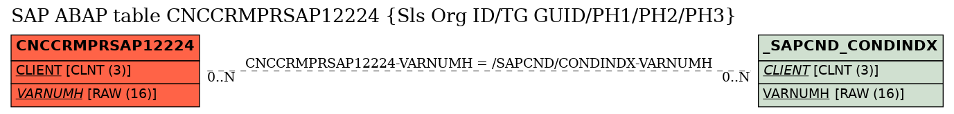 E-R Diagram for table CNCCRMPRSAP12224 (Sls Org ID/TG GUID/PH1/PH2/PH3)