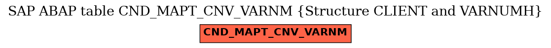 E-R Diagram for table CND_MAPT_CNV_VARNM (Structure CLIENT and VARNUMH)
