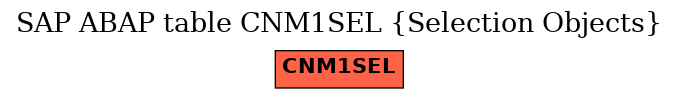 E-R Diagram for table CNM1SEL (Selection Objects)