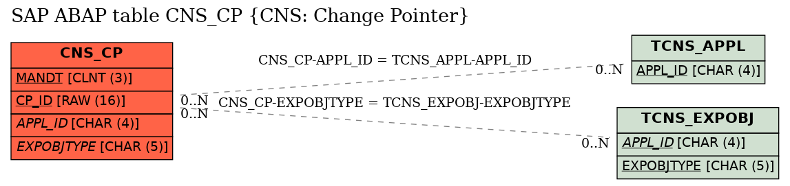 E-R Diagram for table CNS_CP (CNS: Change Pointer)