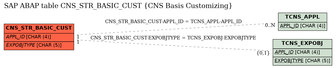 E-R Diagram for table CNS_STR_BASIC_CUST (CNS Basis Customizing)