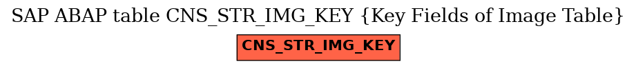 E-R Diagram for table CNS_STR_IMG_KEY (Key Fields of Image Table)