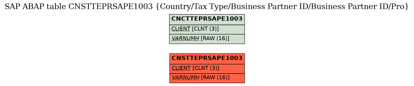 E-R Diagram for table CNSTTEPRSAPE1003 (Country/Tax Type/Business Partner ID/Business Partner ID/Pro)