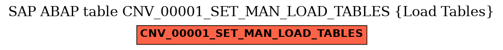 E-R Diagram for table CNV_00001_SET_MAN_LOAD_TABLES (Load Tables)