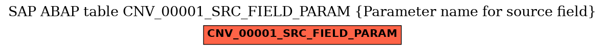 E-R Diagram for table CNV_00001_SRC_FIELD_PARAM (Parameter name for source field)