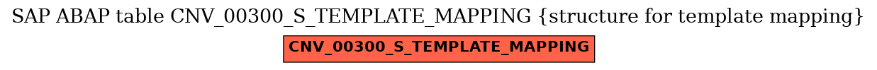 E-R Diagram for table CNV_00300_S_TEMPLATE_MAPPING (structure for template mapping)