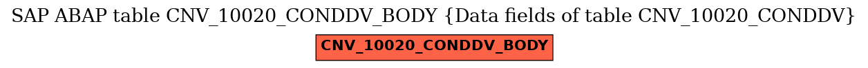 E-R Diagram for table CNV_10020_CONDDV_BODY (Data fields of table CNV_10020_CONDDV)