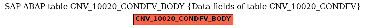 E-R Diagram for table CNV_10020_CONDFV_BODY (Data fields of table CNV_10020_CONDFV)