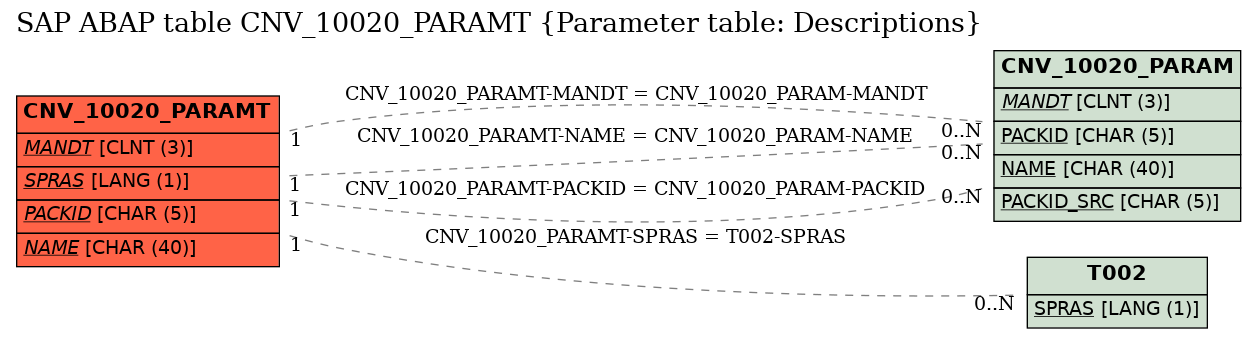 E-R Diagram for table CNV_10020_PARAMT (Parameter table: Descriptions)