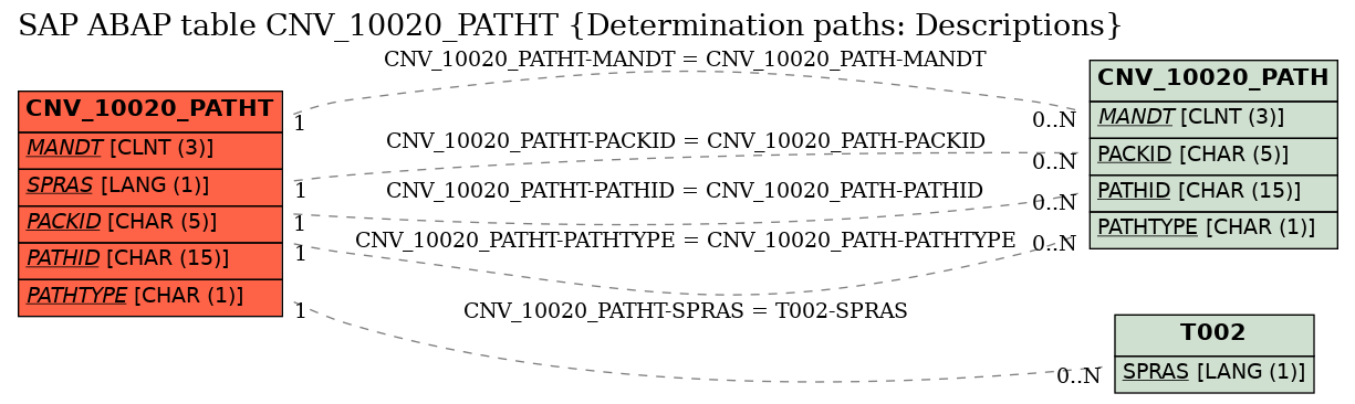 E-R Diagram for table CNV_10020_PATHT (Determination paths: Descriptions)