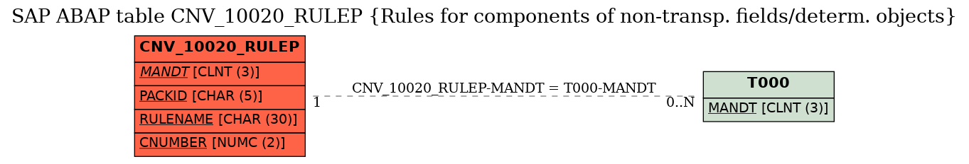 E-R Diagram for table CNV_10020_RULEP (Rules for components of non-transp. fields/determ. objects)